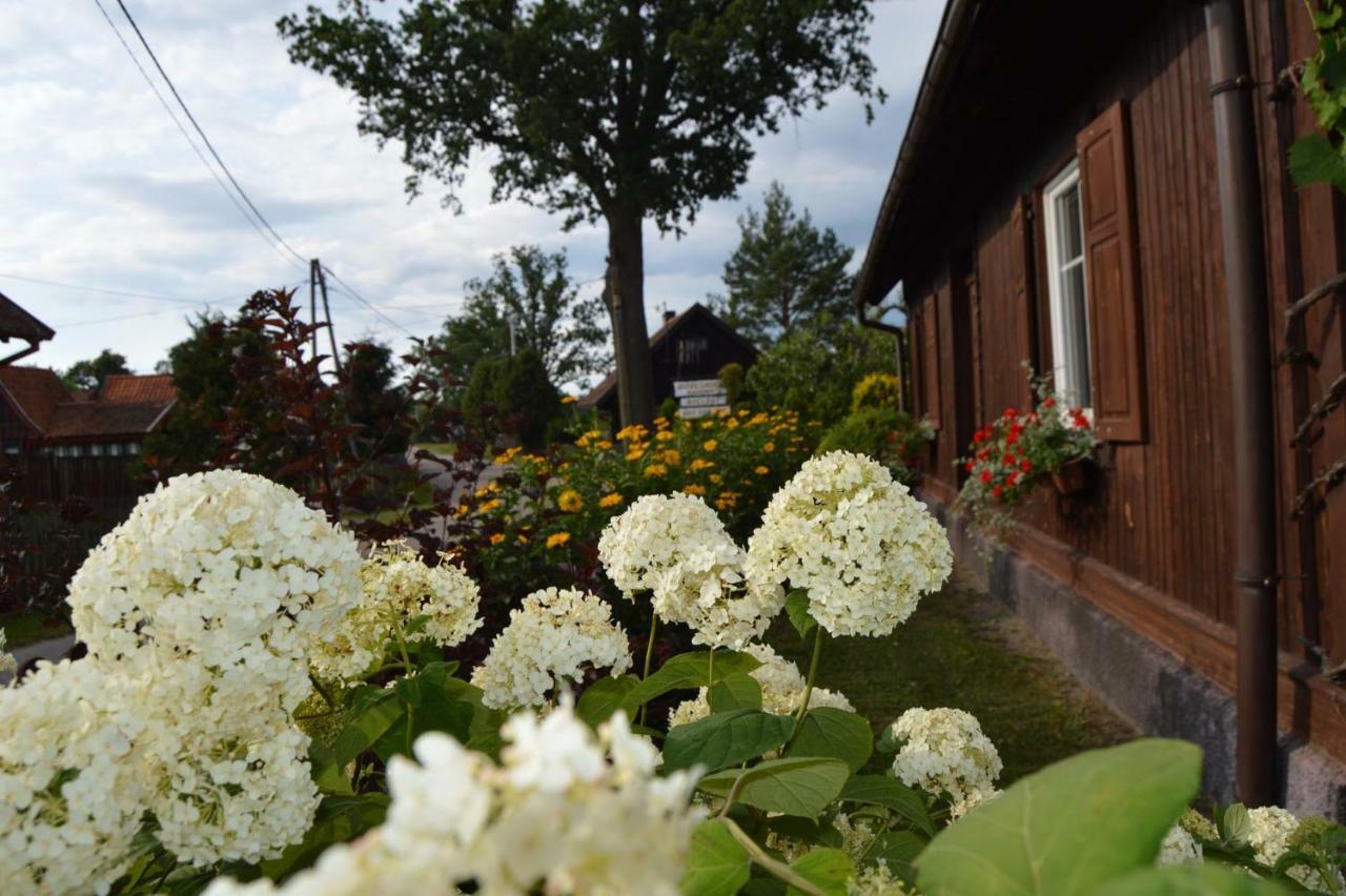 Gosciniec Galkowo Guest House Екстериор снимка